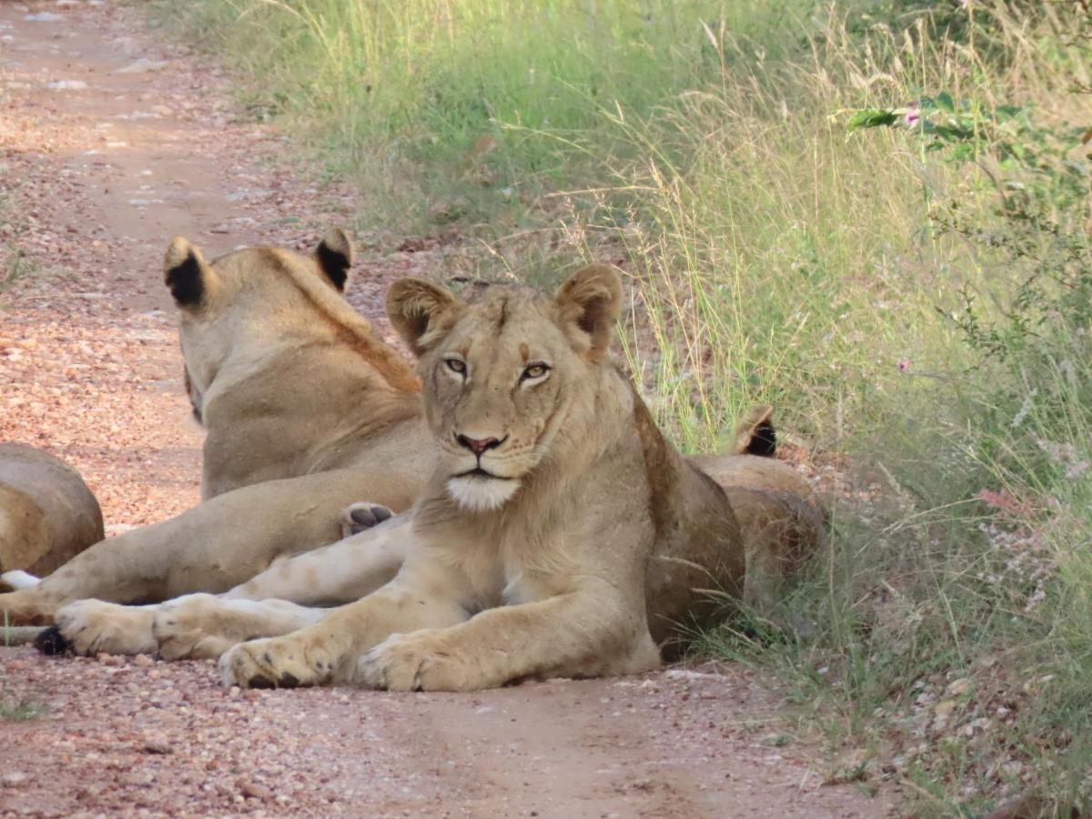 Muweti Bush Lodge Grietjie Wildreservaat Buitenkant foto