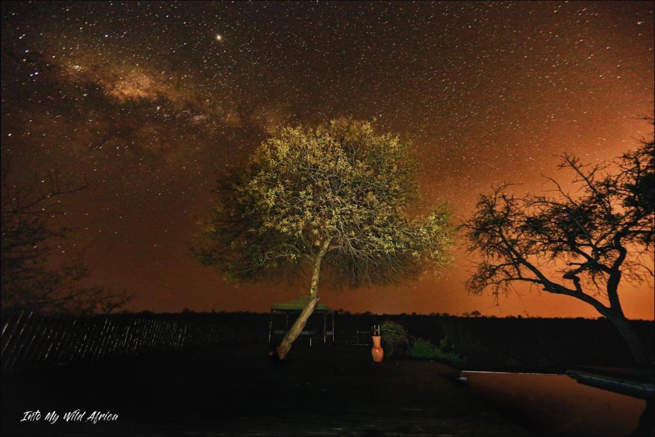 Muweti Bush Lodge Grietjie Wildreservaat Buitenkant foto