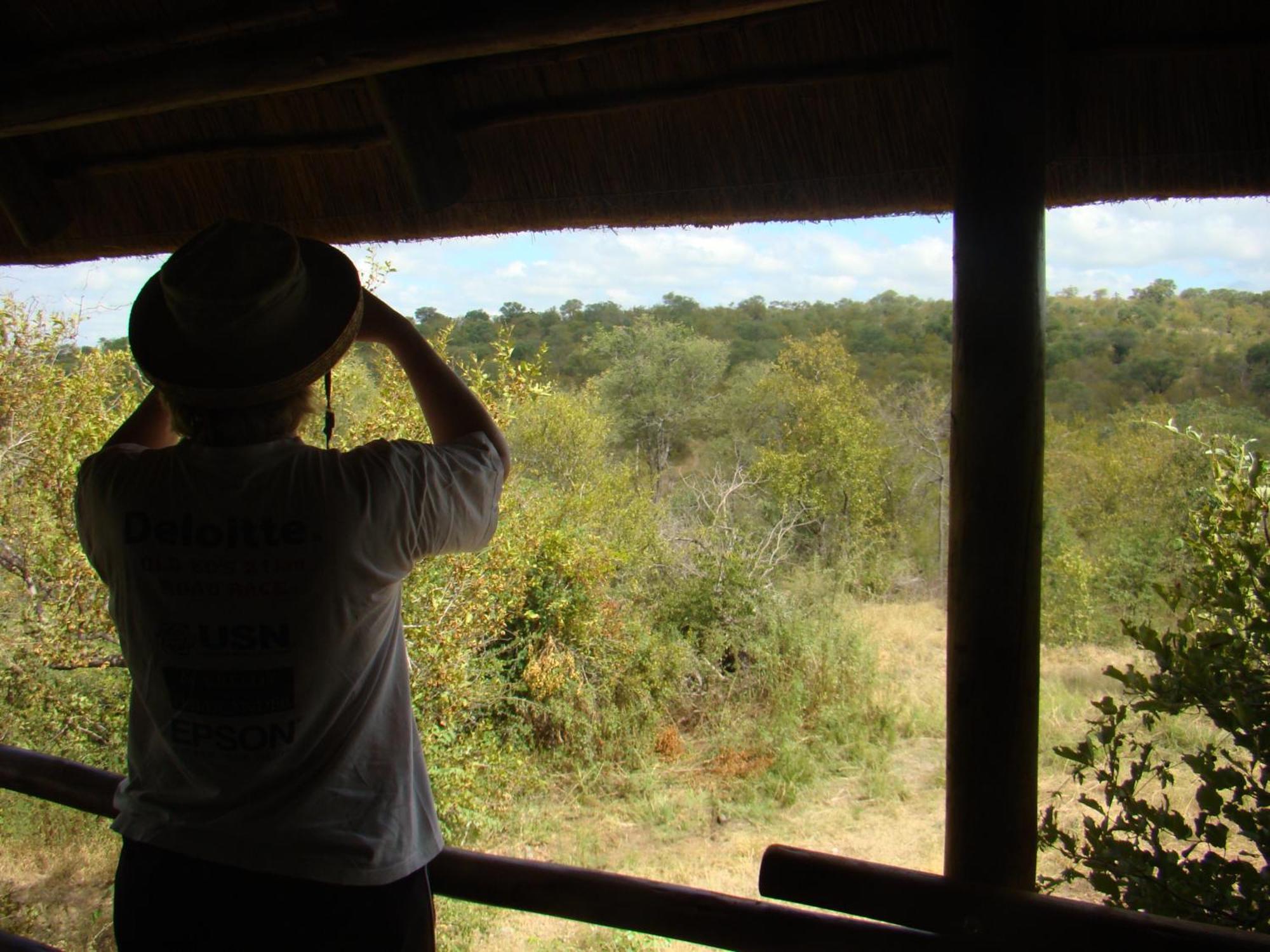 Muweti Bush Lodge Grietjie Wildreservaat Kamer foto