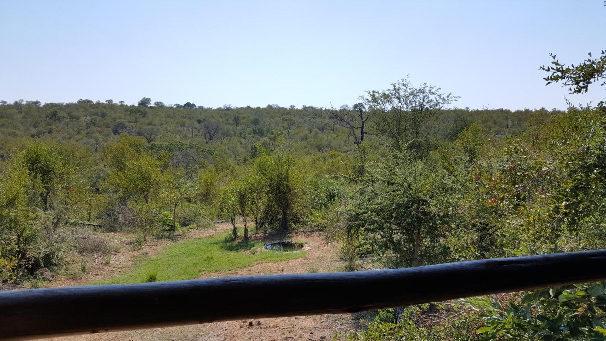 Muweti Bush Lodge Grietjie Wildreservaat Kamer foto