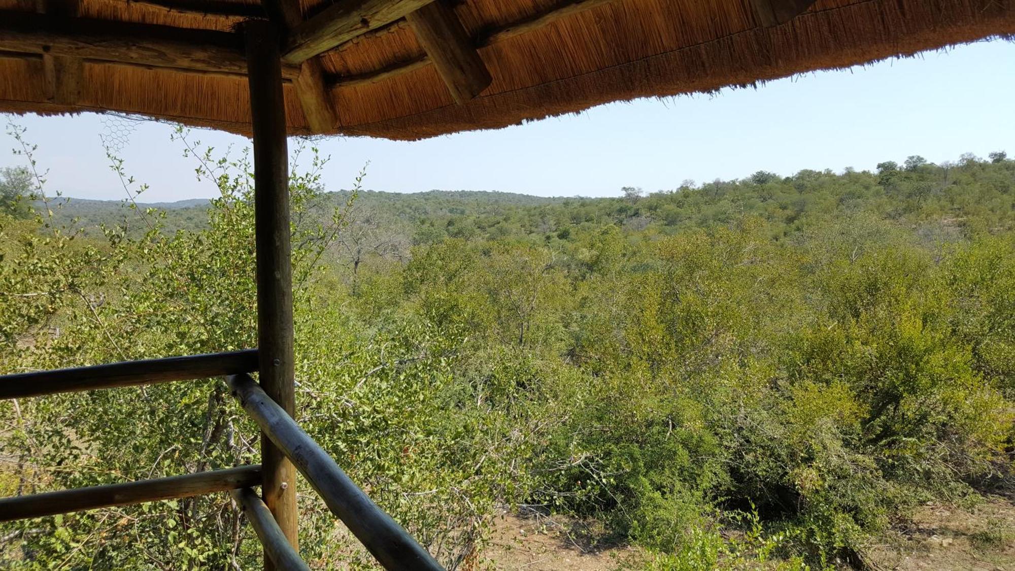 Muweti Bush Lodge Grietjie Wildreservaat Kamer foto