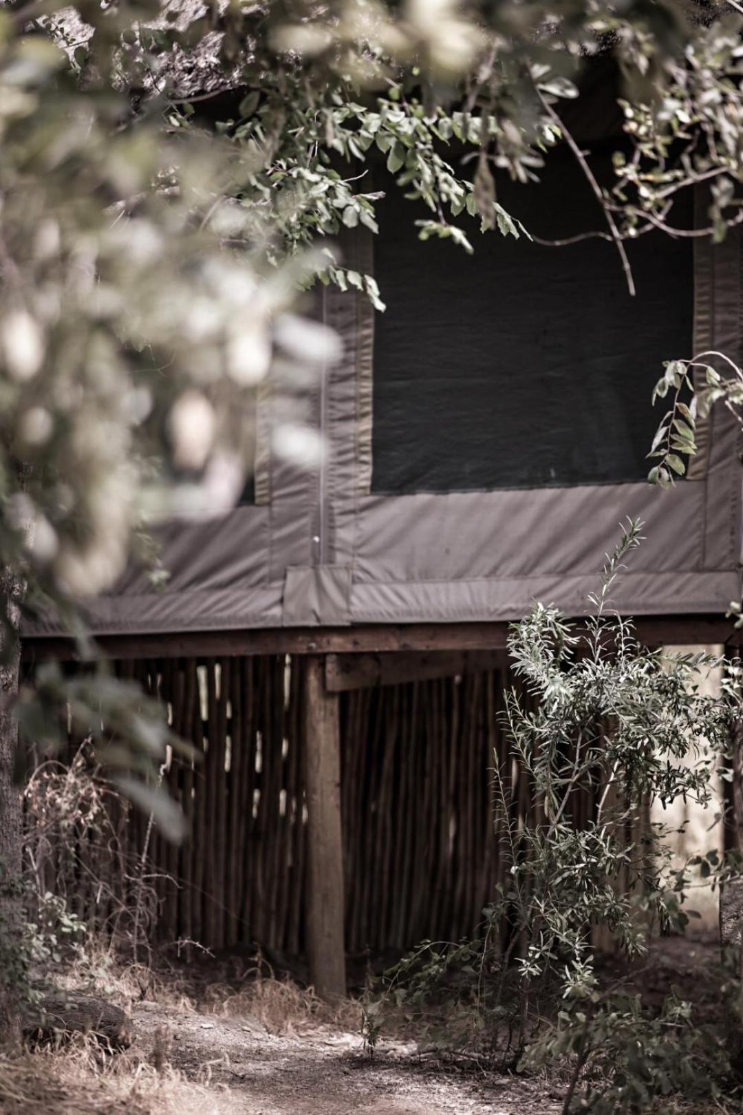Muweti Bush Lodge Grietjie Wildreservaat Buitenkant foto