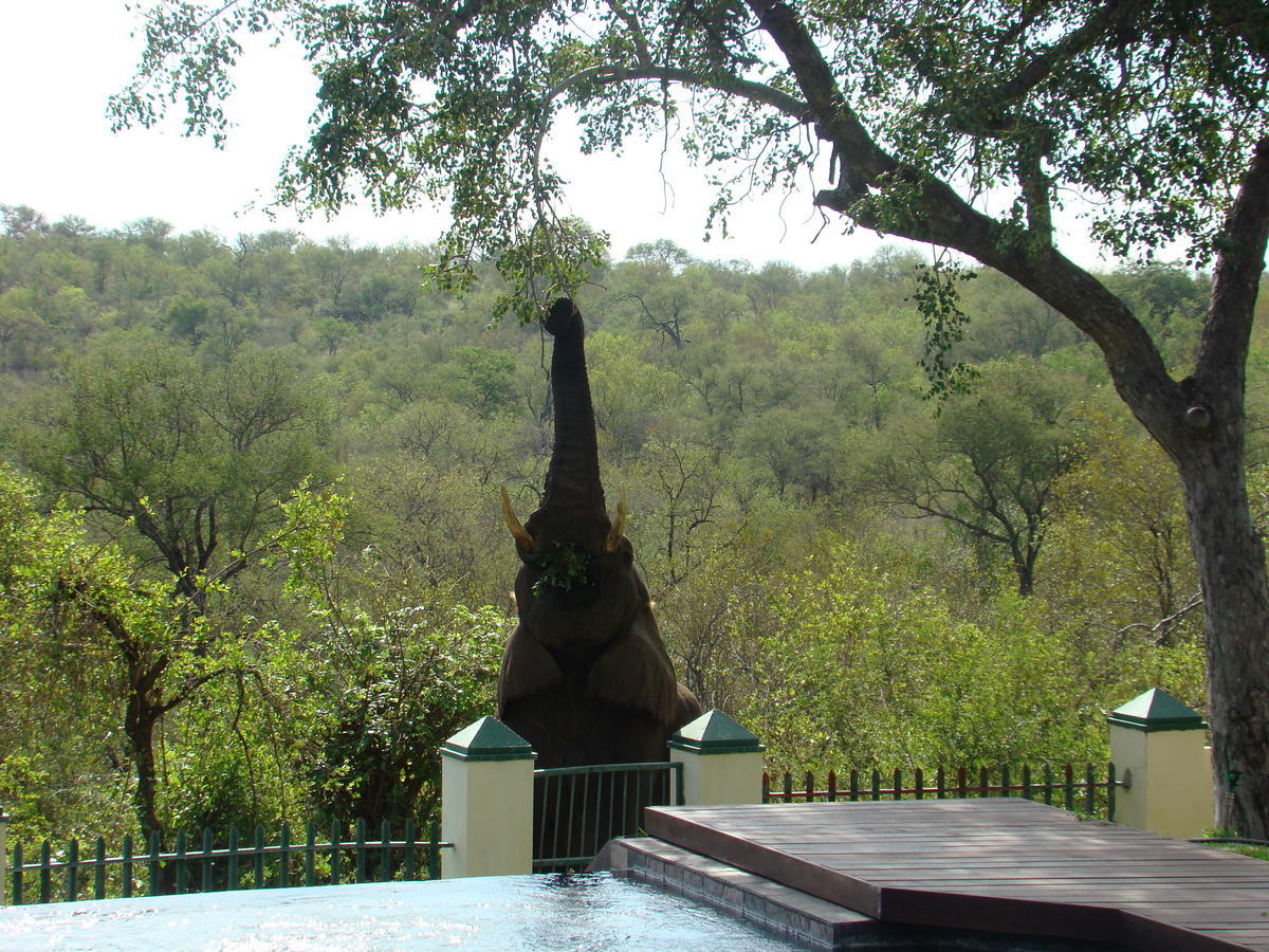 Muweti Bush Lodge Grietjie Wildreservaat Buitenkant foto